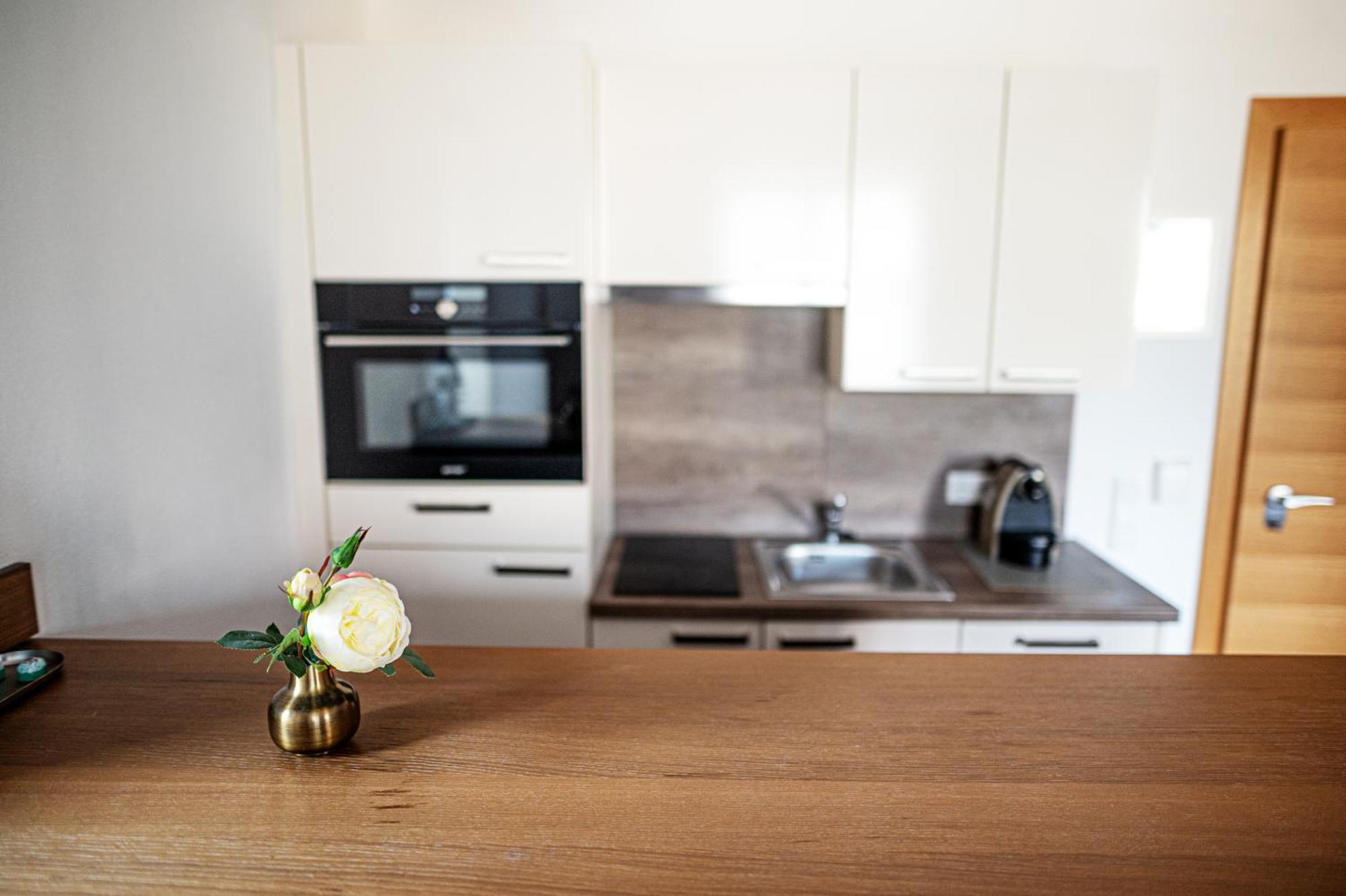 Apartmenthotel 'S Mitterndorf Траункирхен Экстерьер фото