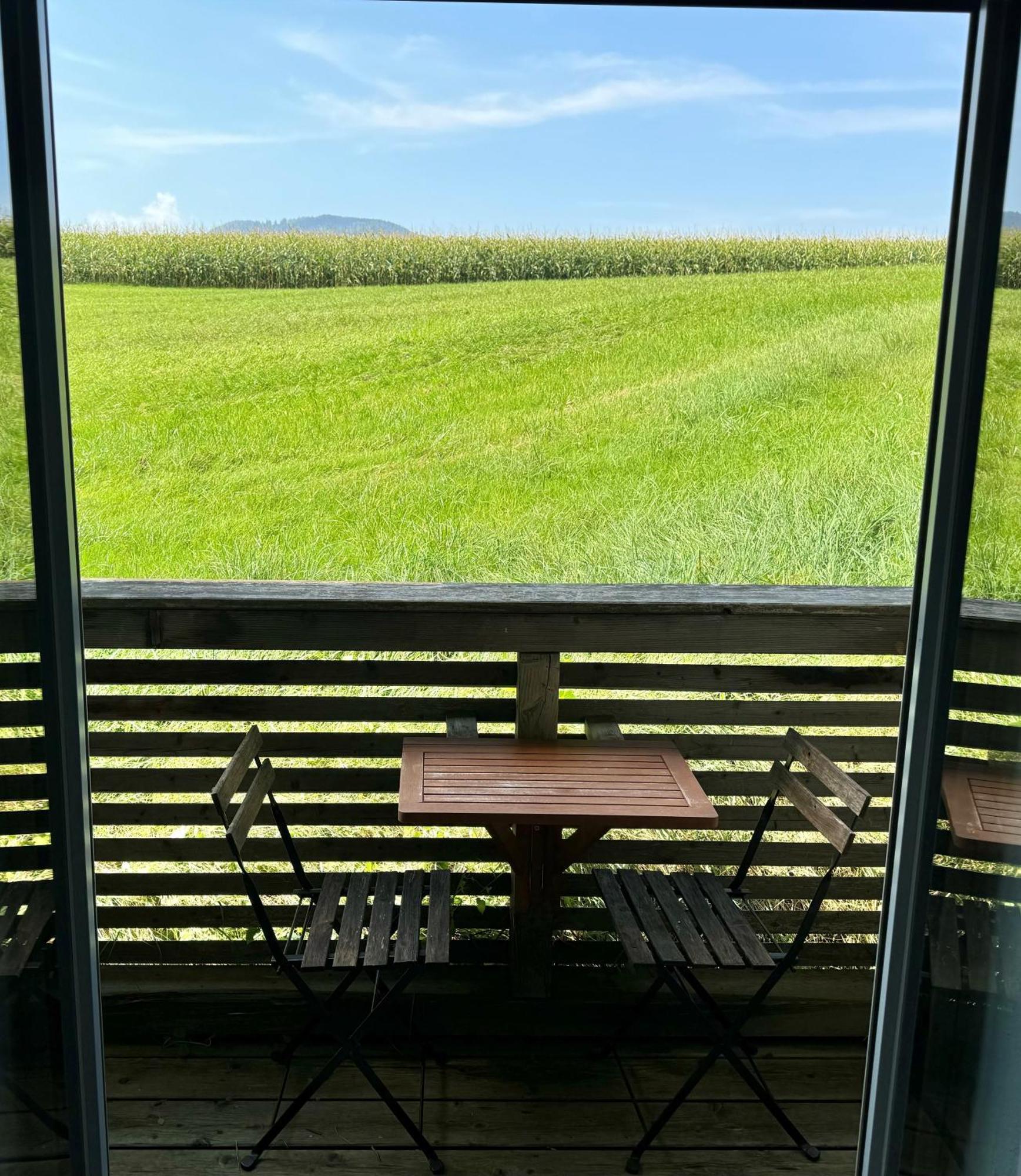Apartmenthotel 'S Mitterndorf Траункирхен Экстерьер фото